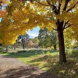 Cleveland Lakefront Nature Preserve