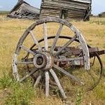 Wagon Hill Farm