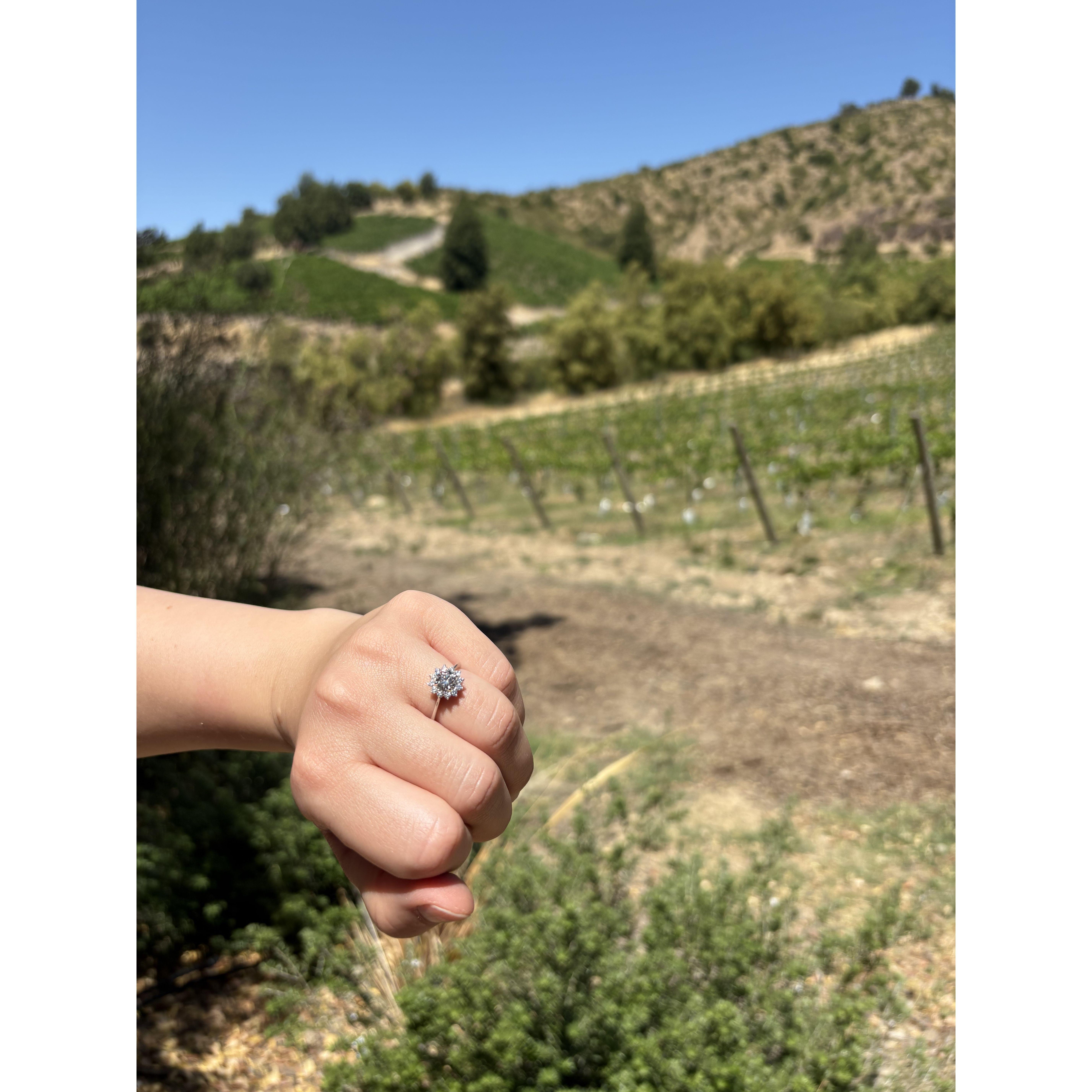 Mati's proposal