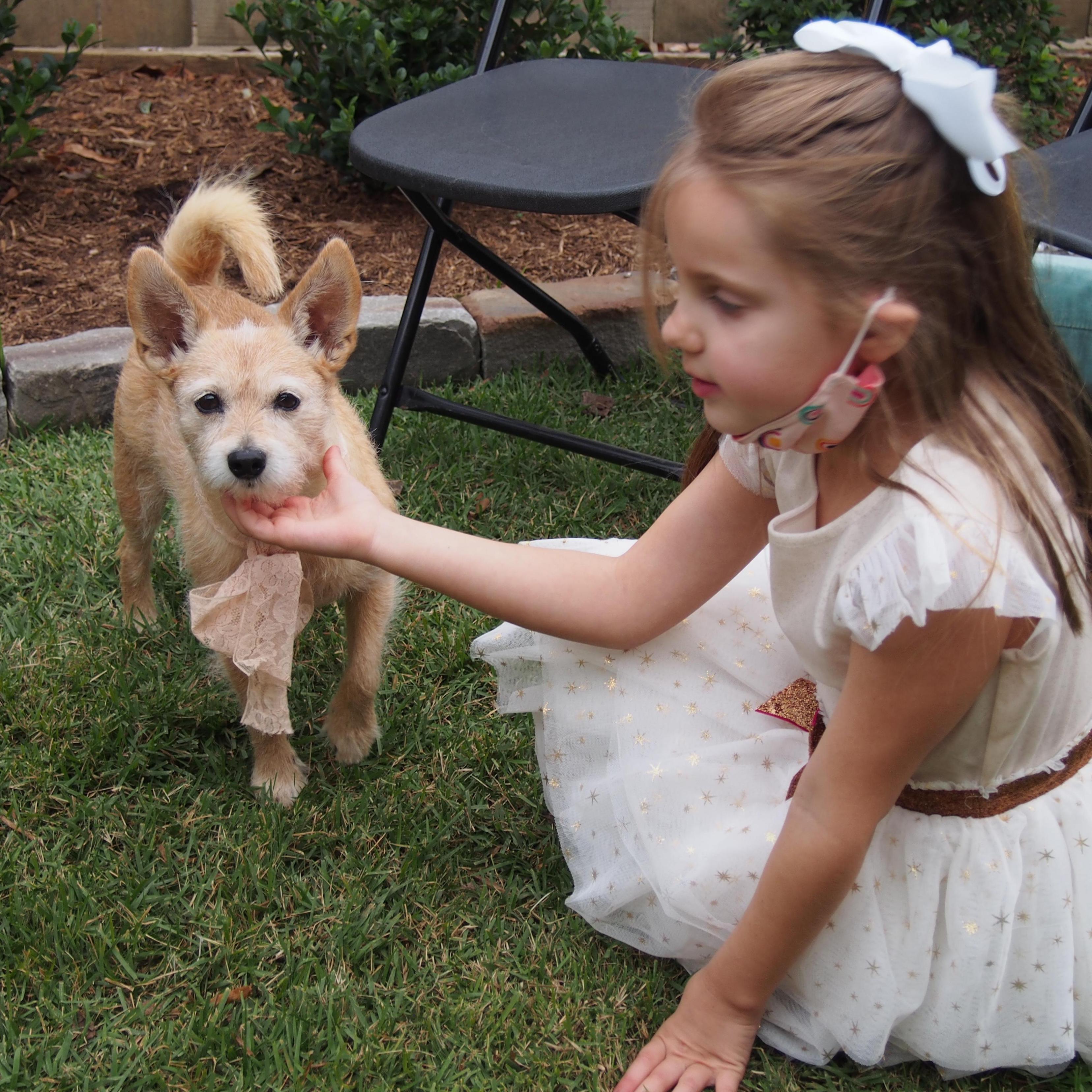 Elizabeth Bailey (flower girl) and Sadie (maid of honor)