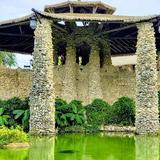 Japanese Tea Garden