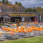 Mack's Apples