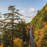 Chuckanut Drive