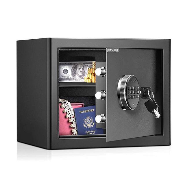 WASJOYE Security Safe Cash Box with Double Digital Keypad Safety Key Lock for Home Business Office Hotel Money Document Jewelry Passport Cabinet (0.59 Cubic Feet)