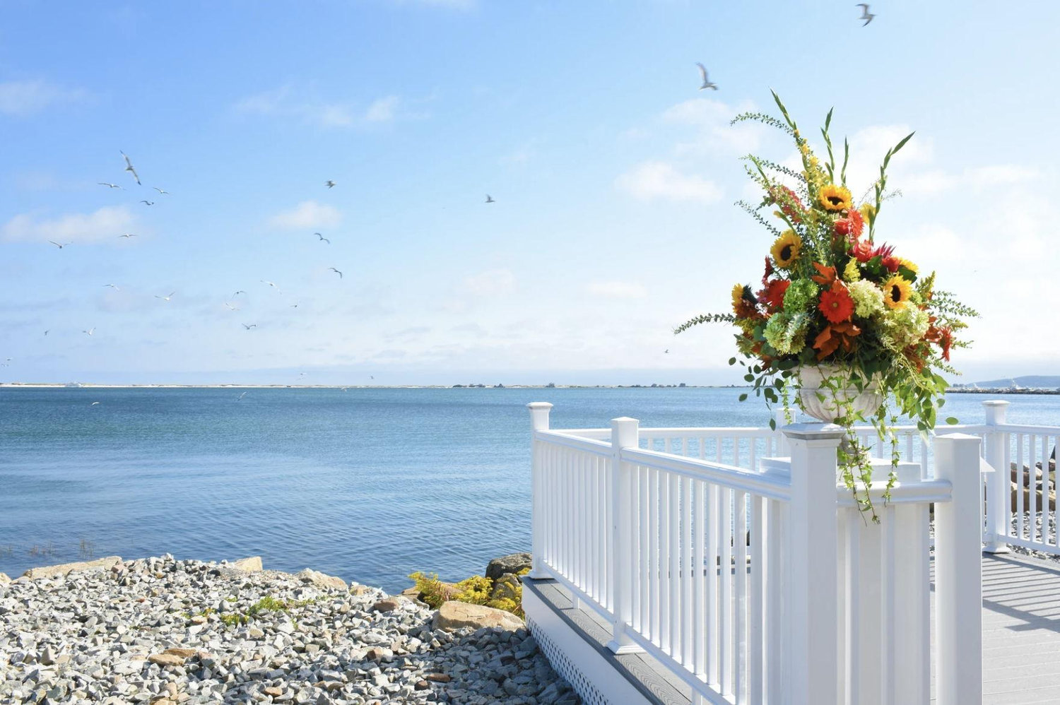 The Wedding Website of Mary O’Dwyer and Dylan Verrocchi