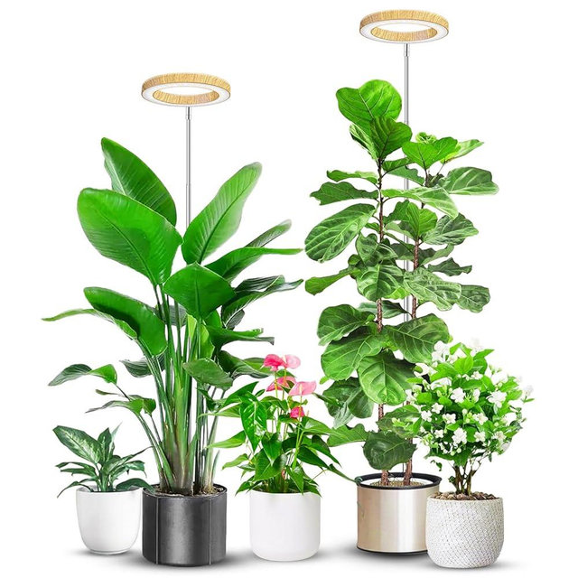 Aokrean Grow Lights for Indoor Plants, Full Spectrum Plant Lights for Indoor Growing with 6/12/16H Timer, 3 Optional Spectrums, 5 Brightness, Height Adjustable 10"-65" Faux Wood Grain Growing Lamp