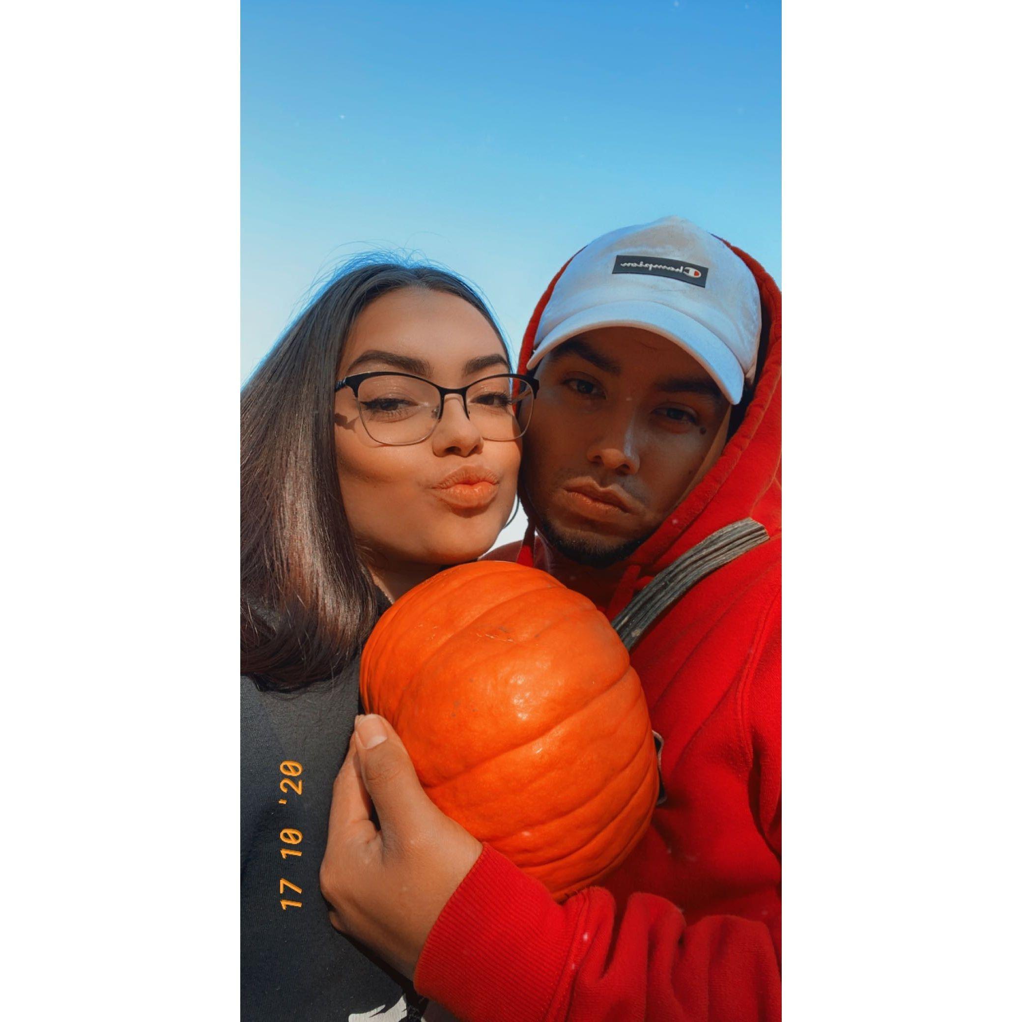 2nd annual pumpkin picking in 2020:)