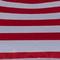 Red Cabana Stripe