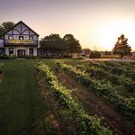 Beachaven Vineyards & Winery