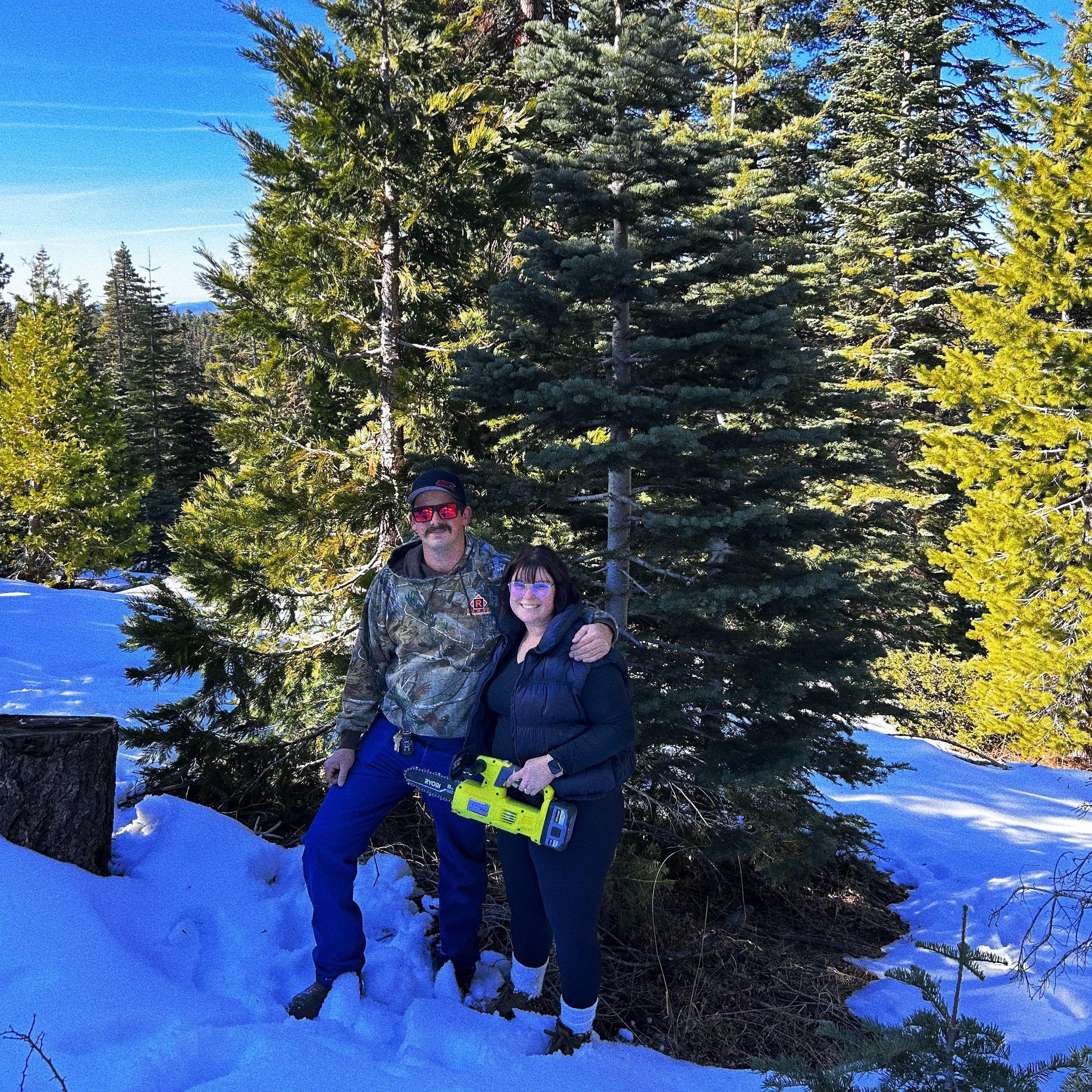 Christmas tree hunting