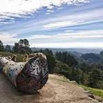 Grizzly Peak
