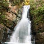 El Yunque National Forest