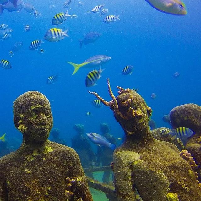 Snorkeling Cruise to Underwater Sculpture Park