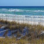 Henderson Beach State Park