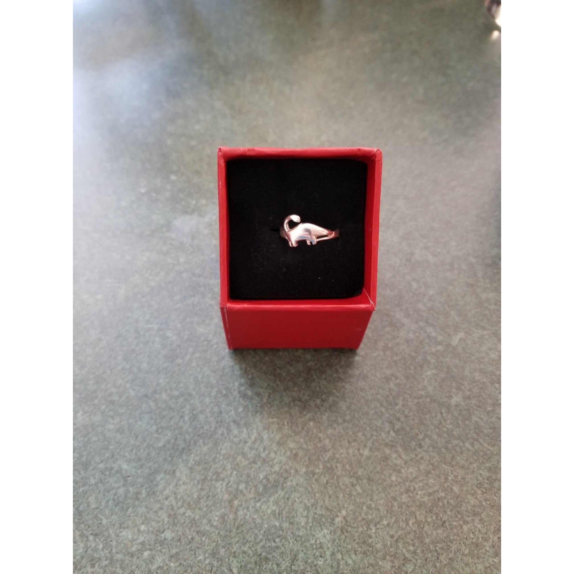 The wedding ring. We had discussed the bear, but never the ring. This was a wonderful surprise. The dinosaur ring is a reference to a video game called the Sims.