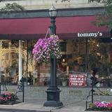 tommy's