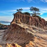 Torrey Pines State Natural Reserve