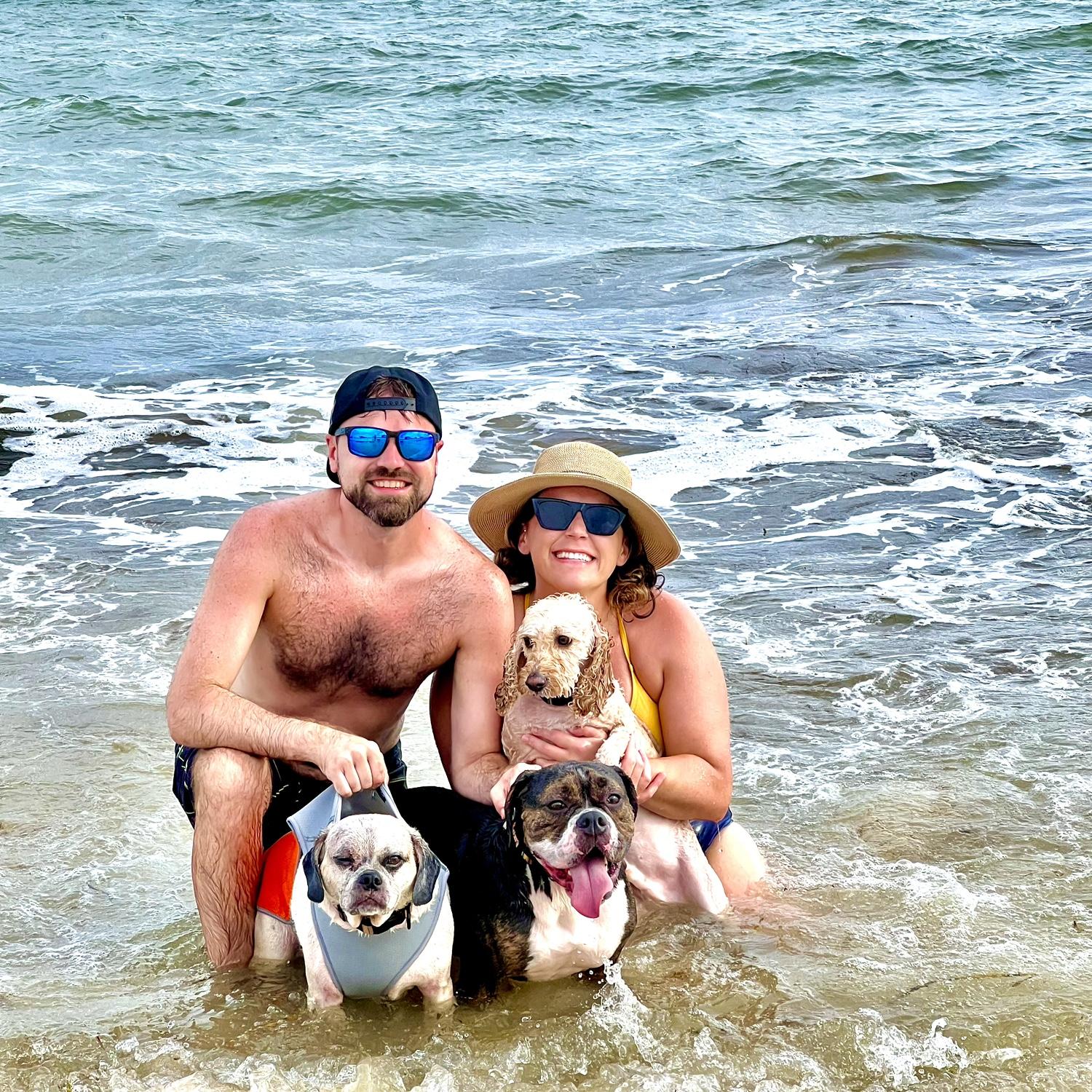 Our favorite place to take the dogs to the beach - St. George Island, FL