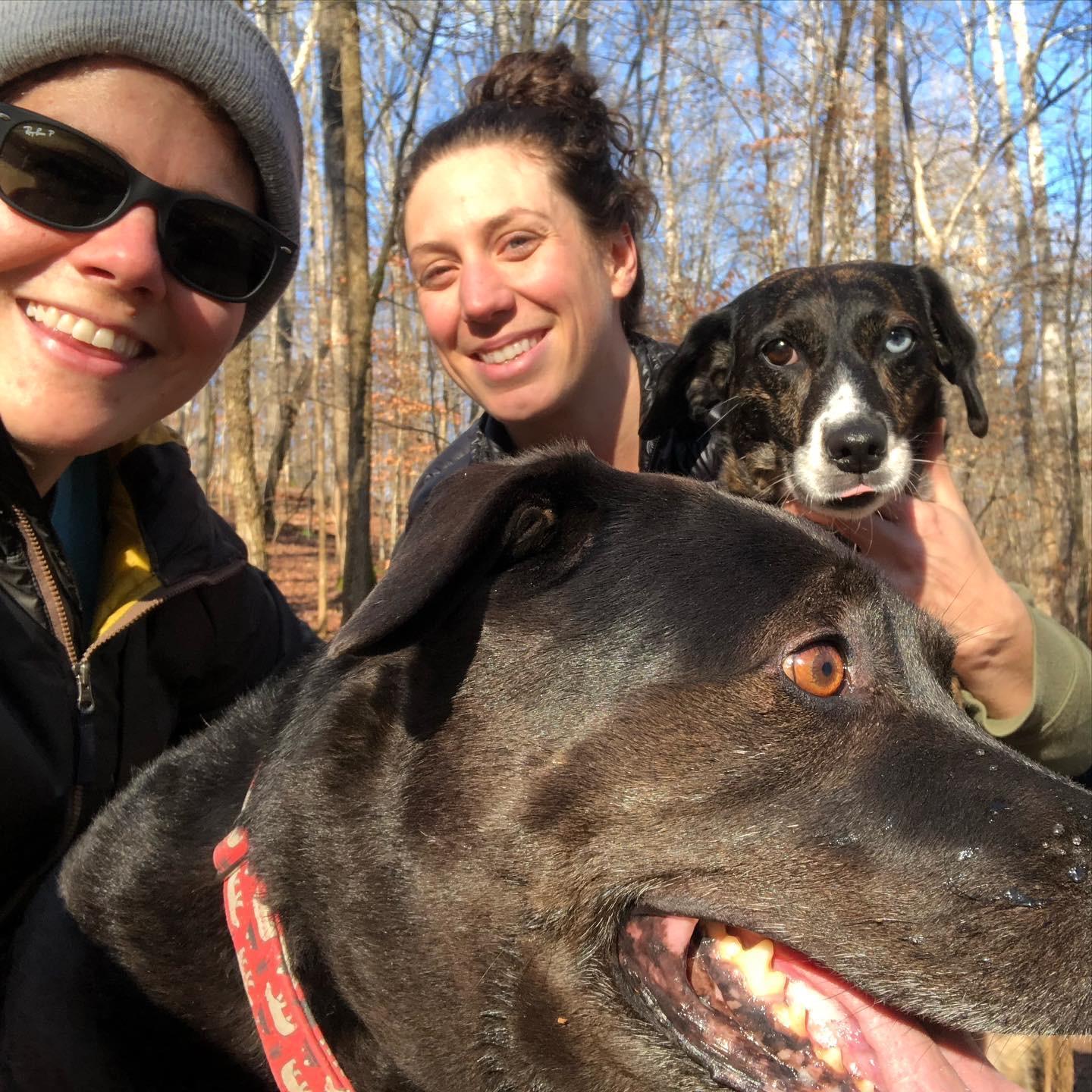 Pause the hike to wrestle the pups into a family picture...#nailedit