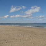 Scusset Beach