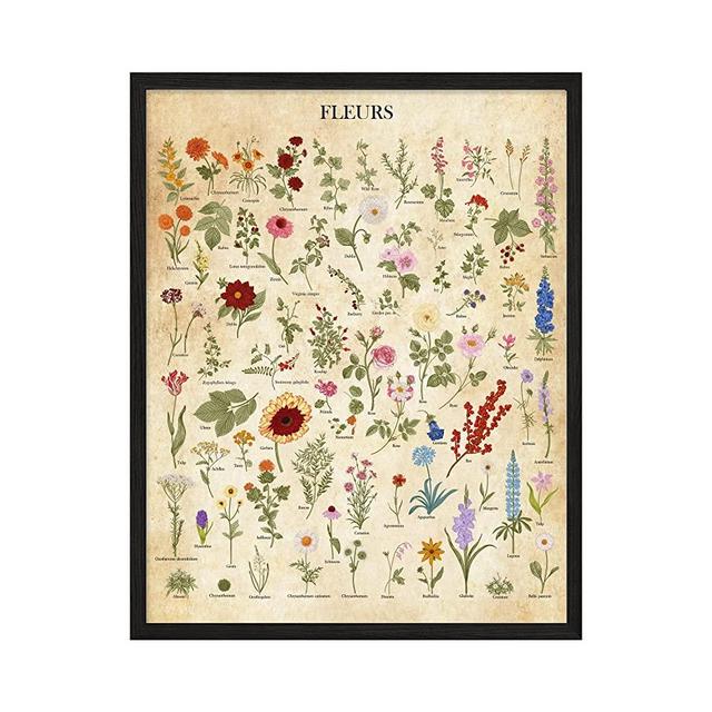 Botanical Wall Art - Flower Poster - Set of 1 (11x14") Vintage Botanical Prints, Plant Poster, Botanical Poster Prints - UNFRAMED Floral Prints, Floral Wall Art -Vintage Wall Decor, Floral Wall Decor