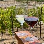 De Portola Wine Trail