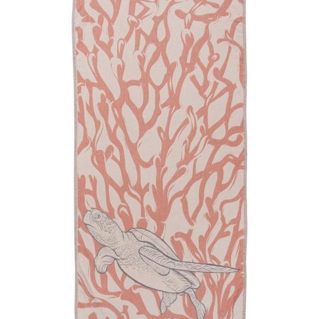 Natural Coral Reef Turtle