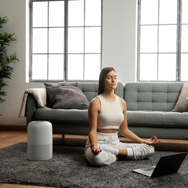 Miko, Ibuki + Air Purifier | Zola