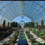 Como Park Zoo & Conservatory