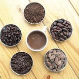 Minca : Coffee, Cocoa , waterfall