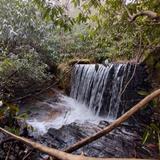 Piney Knob Trail System