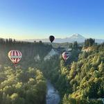 Activities in the Mt. Rainier Region