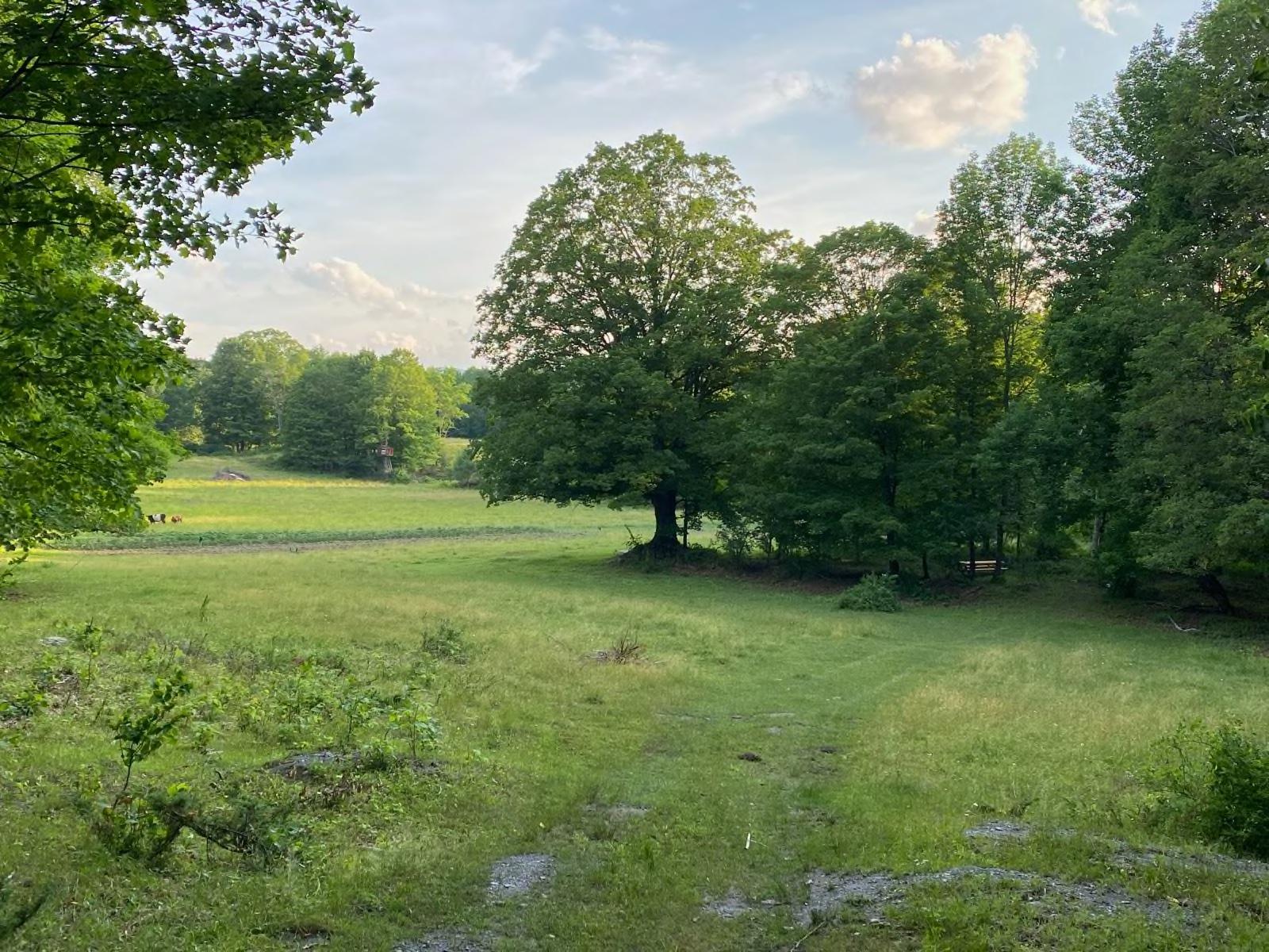 The Wedding Website of Hailey Fuqua and Patrick Davis