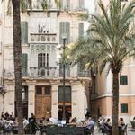 Palma