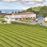 Gorreana Tea Plantation