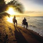Horse Riding on the beach