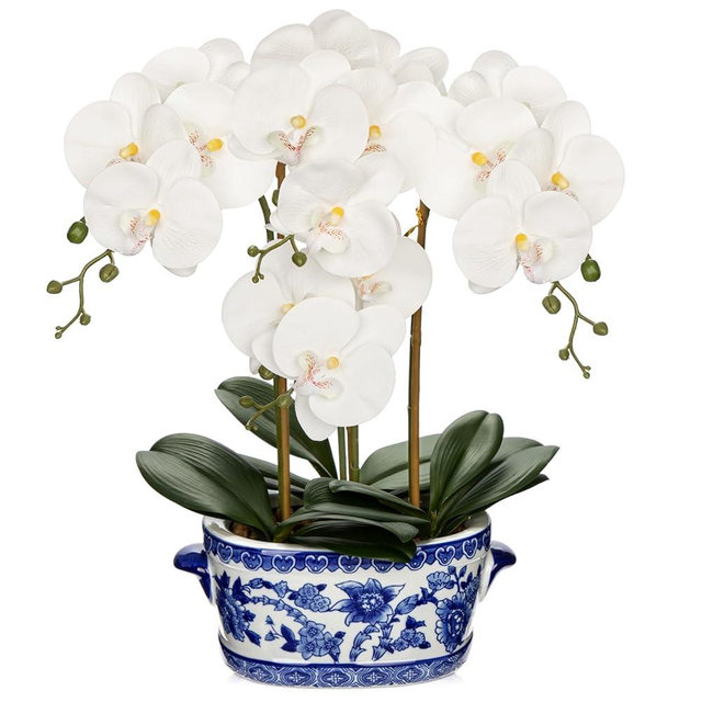 Briful Orchid Artificial Flowers in Blue and White Porcelain Pot 19.7" White Faux Silk Orchid Arrangement Large Fake Orchid Floral Centerpiece for Elegant Home Office Living Room Kitchen Table Decor