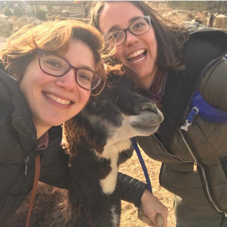 Making friends on an alpaca farm in Mitzpe Ramon