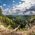 Pavilniai Regional Park