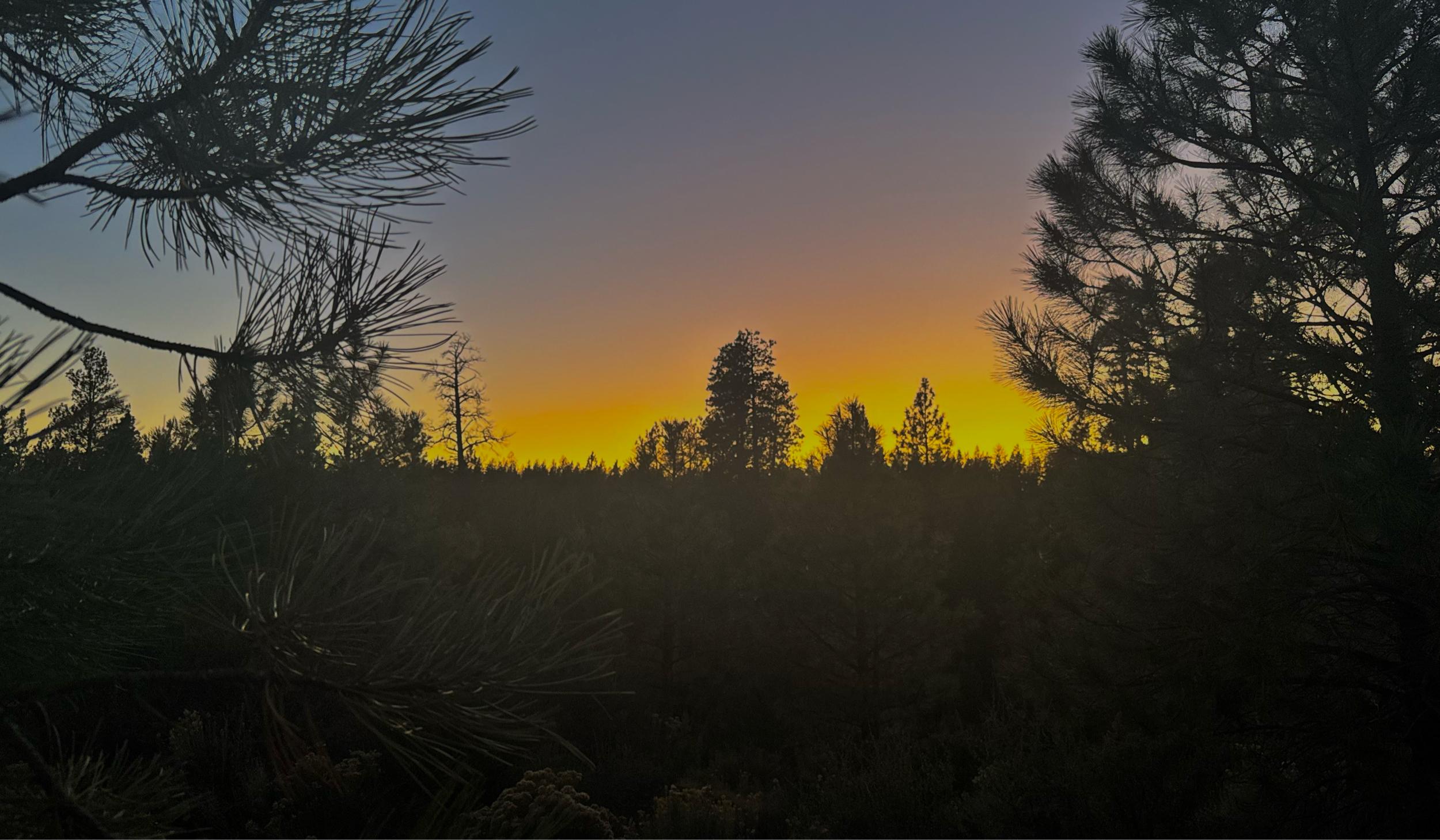 The Wedding Website of Autumn Koehler and Levi Mills