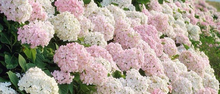 2718c4f2-b082-45d9-812d-78c85fc729ba