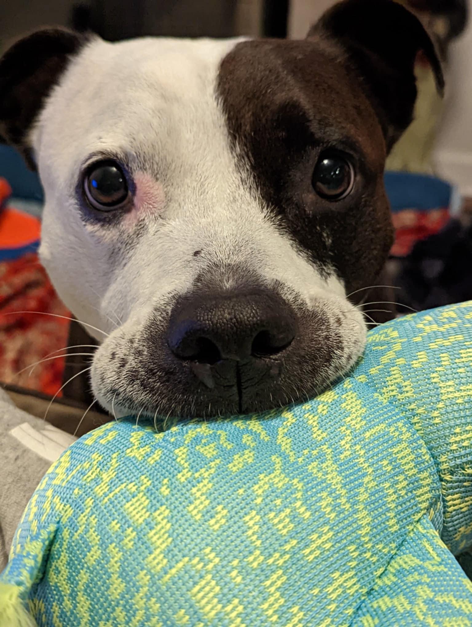 2719938c-986e-4d1c-9bbb-3b9ad5883dca