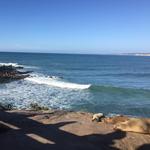 La Jolla Cove