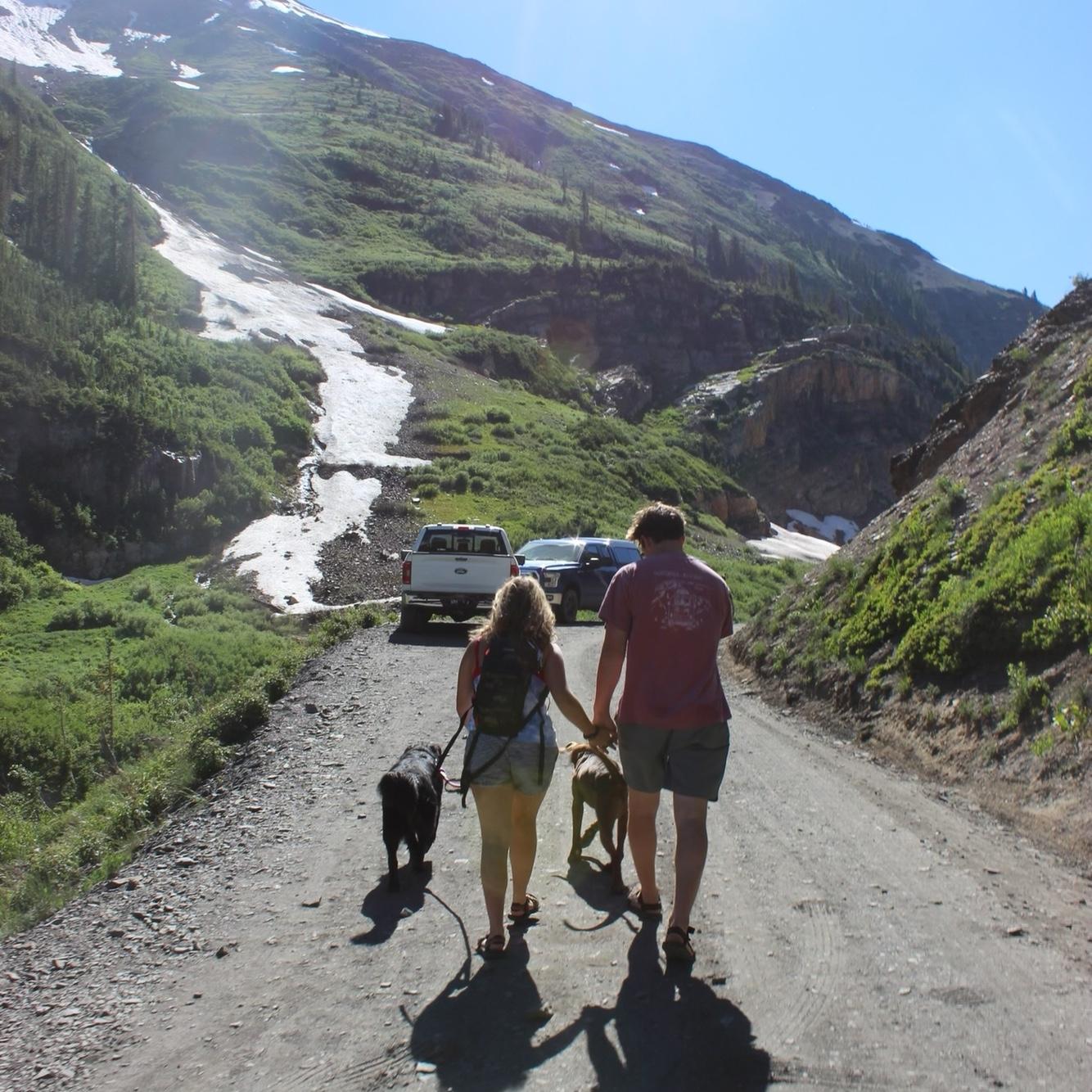 Crested Butte camping during wildflower season