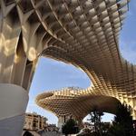 Setas de Sevilla