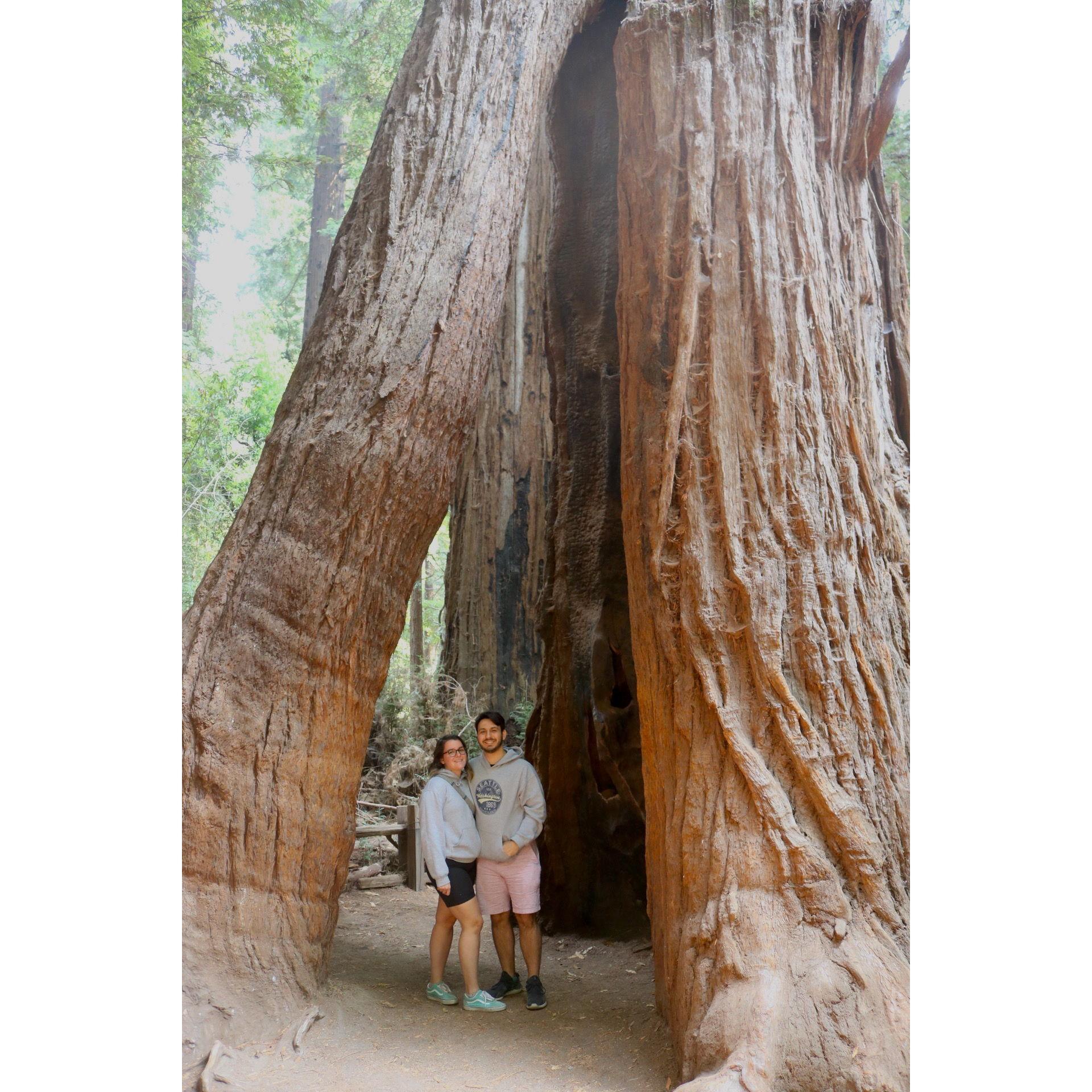 August 2021, Mac's first time visiting the Redwoods with Colby and his Ross dad!
