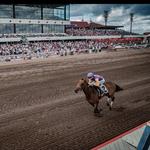 Canterbury Park