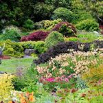 Mendocino Coast Botanical Gardens