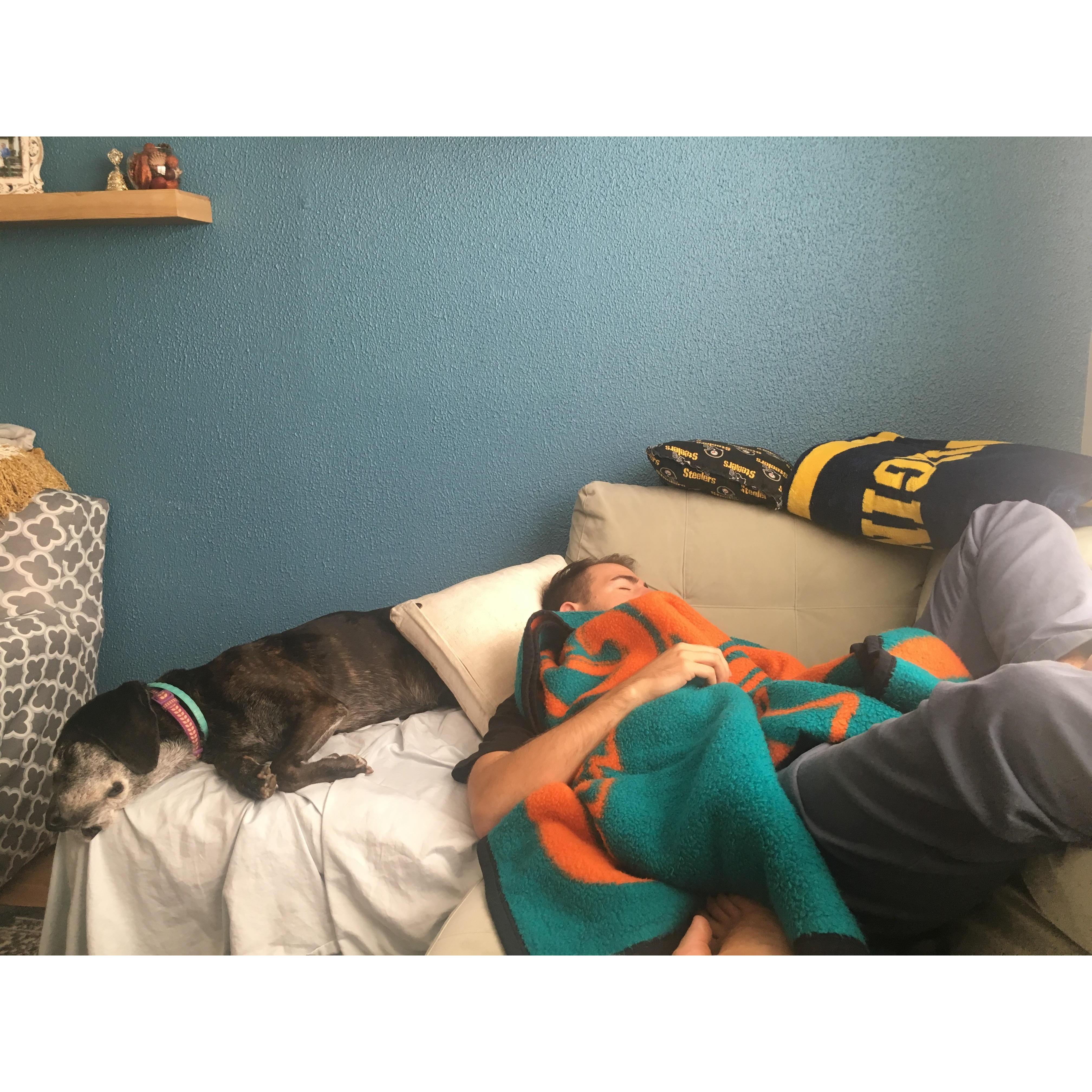 They love napping together!