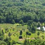 Mountain Top Arboretum